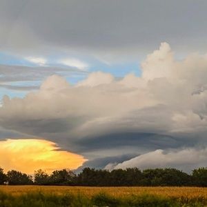 Meet your Posher, Diane